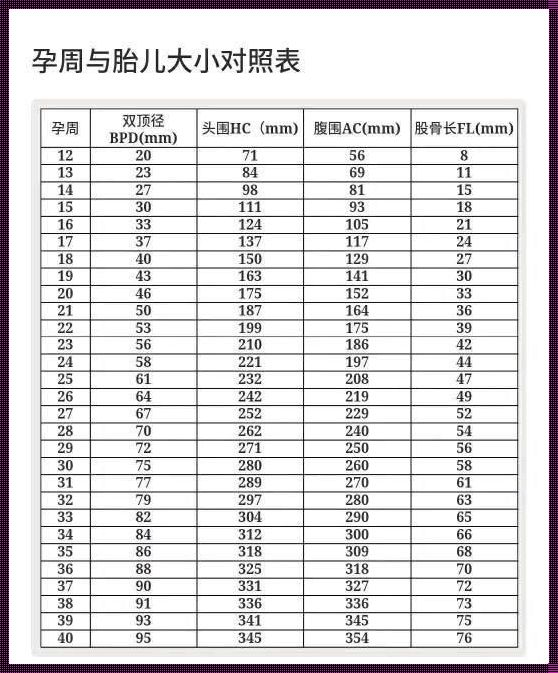 30周股骨长51mm会矮吗：深度解析与情感探究